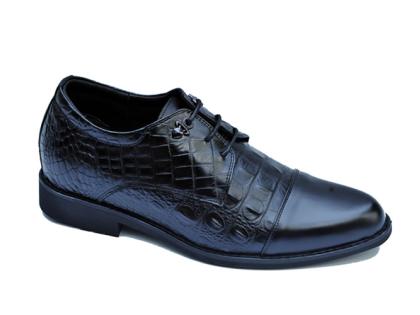 Giày cao nam dập vân cá sấu hq623
