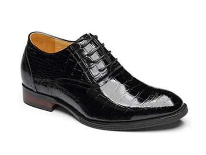 Giày nam vân cá sấu cao 7cm