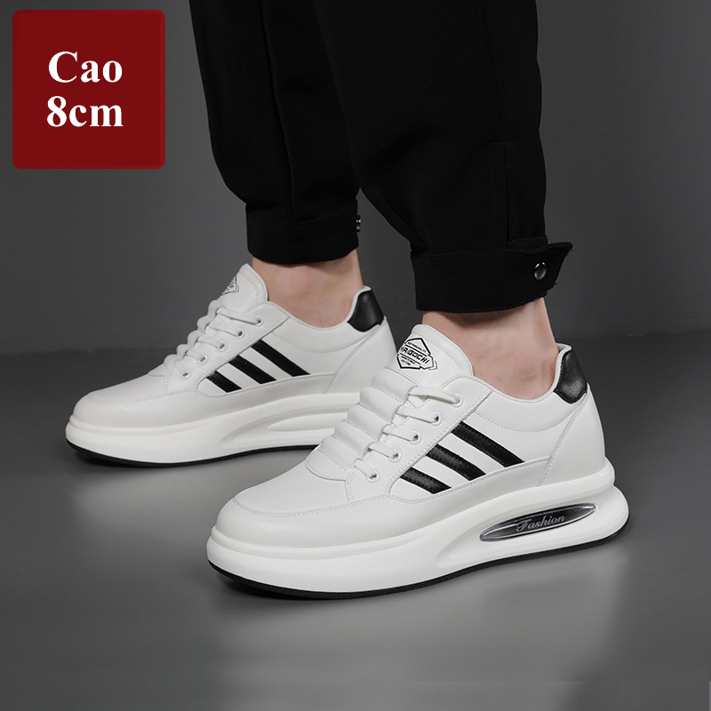 Giày cao 8cm thể thao nam màu trắng