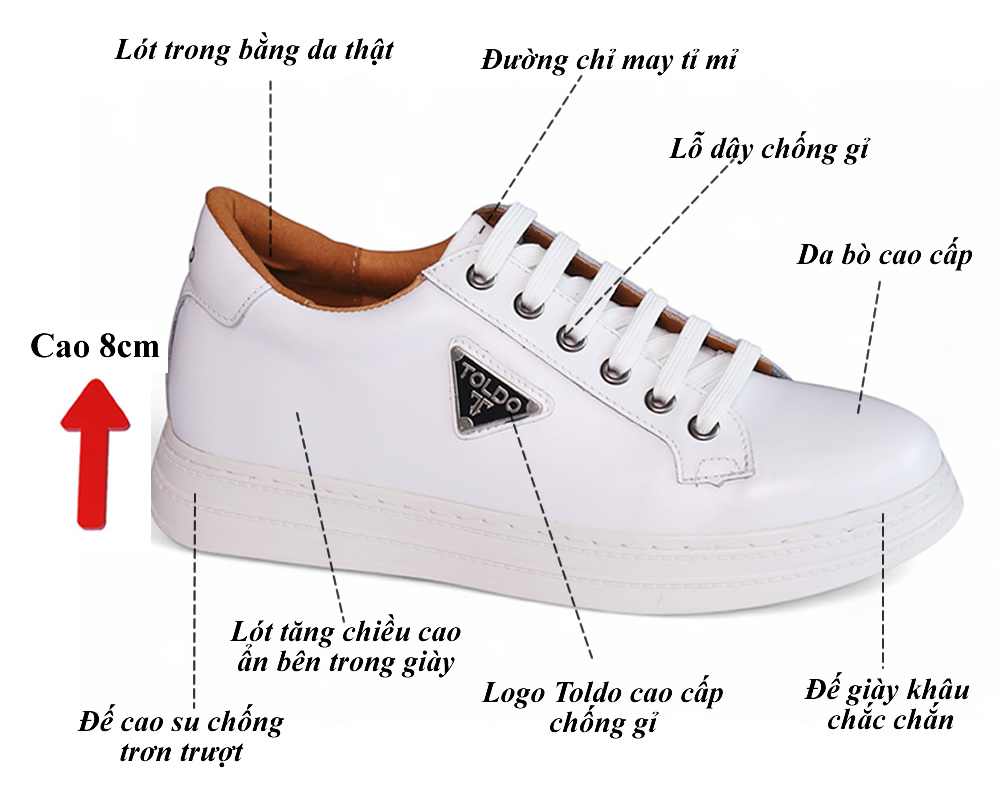 Giày cao 8cm cho nam thể thao 