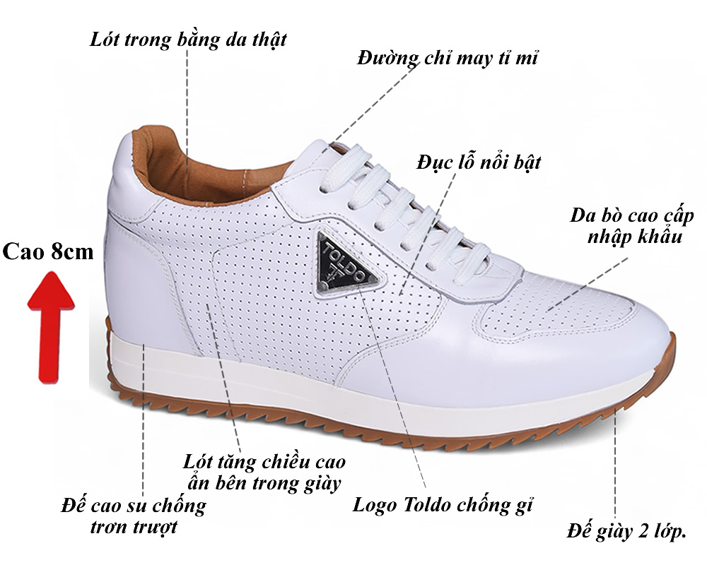 Giày cao 8cm thể thao cao cấp